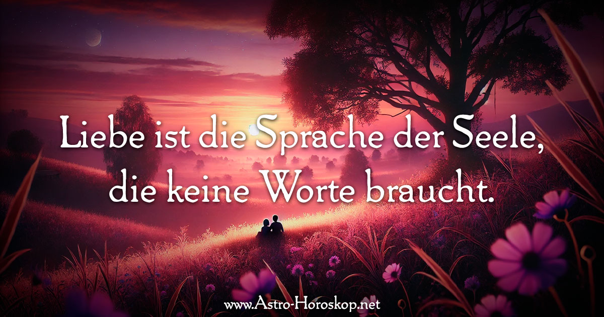 Liebe ist die Sprache der Seele, die keine Worte braucht.